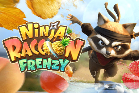 Ninja Raccoon Frenzy